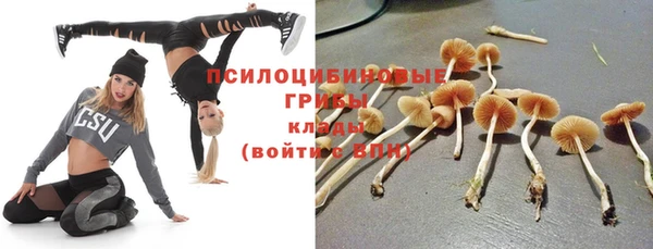 мяу мяу мука Абинск