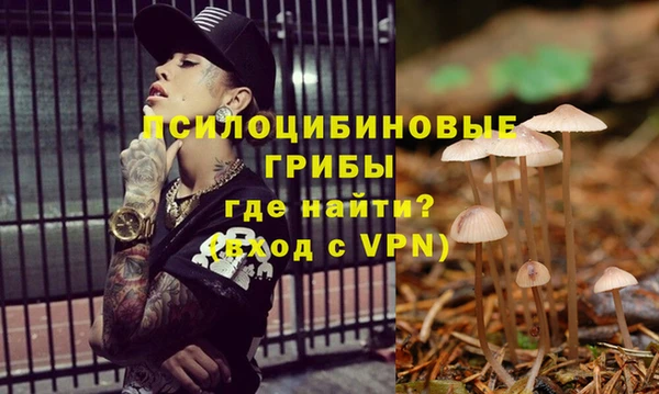 мяу мяу мука Абинск