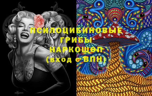 spice Абаза
